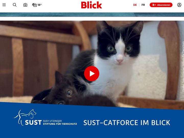 Articel in the "Blick" about the SUST-Catforce