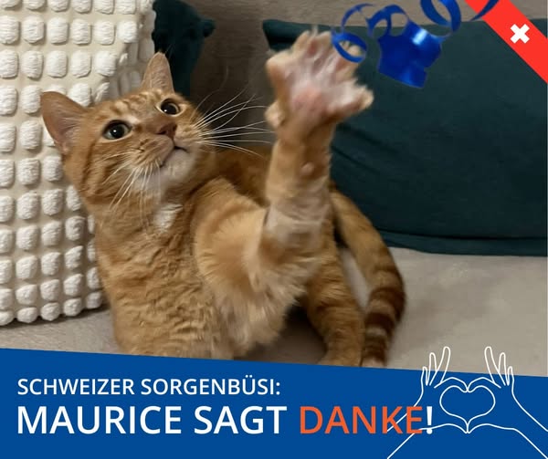 Liebe TierfreundInnen, liebe Maurice-Fans