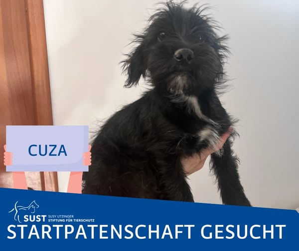 Rebecca & Michi W. übernehmen  die Startpatenschaft für Cuza