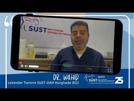 #SUST25 – Starke Worte für den Tierschutz: SUST-OAH Hurghada (EG)