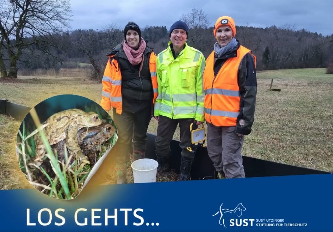 Die Amphibienwanderung hat begonnen!