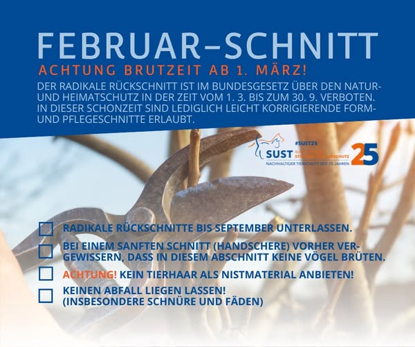 Februar ist Schnittzeit!