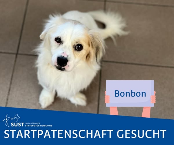 Die Startpatenschaft für Bonbon übernimmt Familie R.