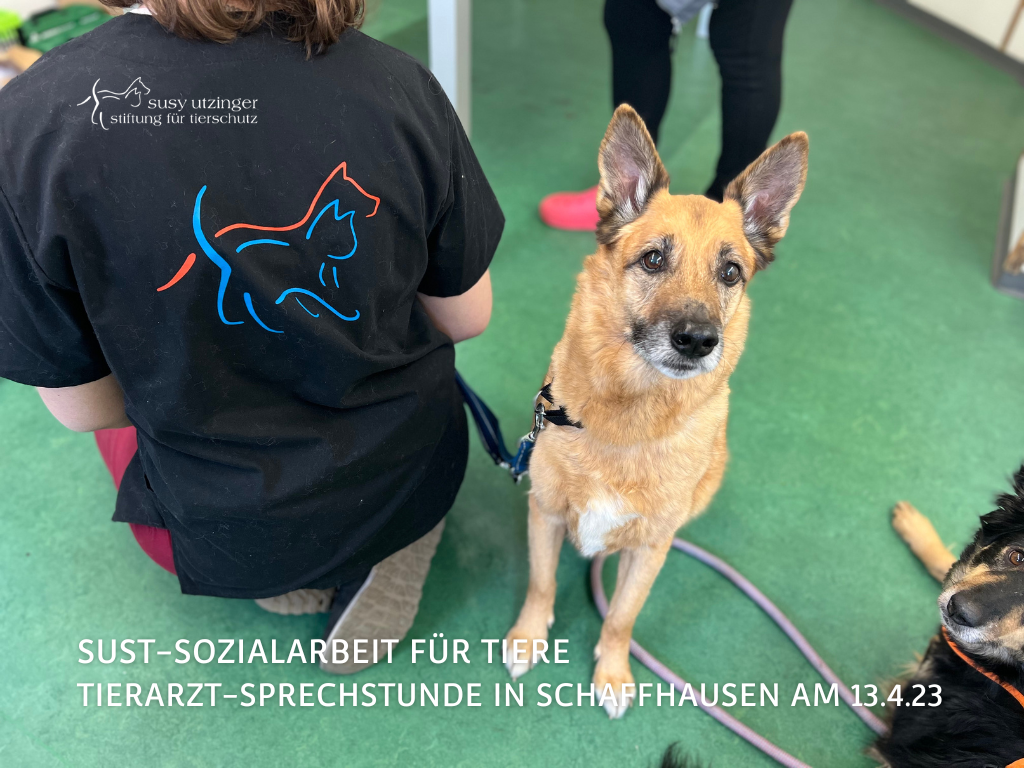 SUST social work for animals in Schaffhausen