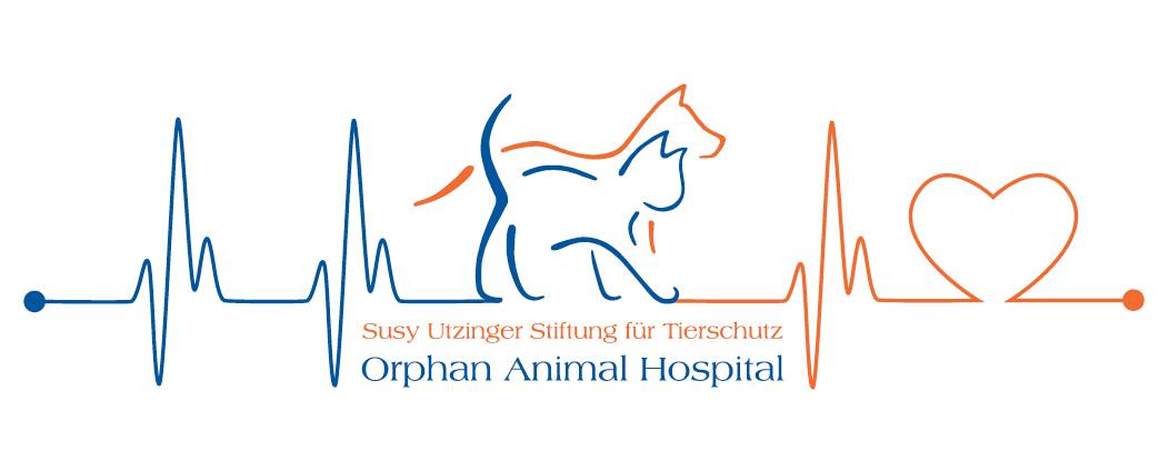 2023, un nouvel hôpital SUST pour les orphelins d'animaux ouvre ses portes