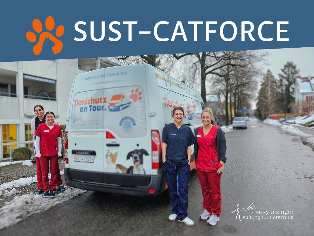 SUST-CATFORCE