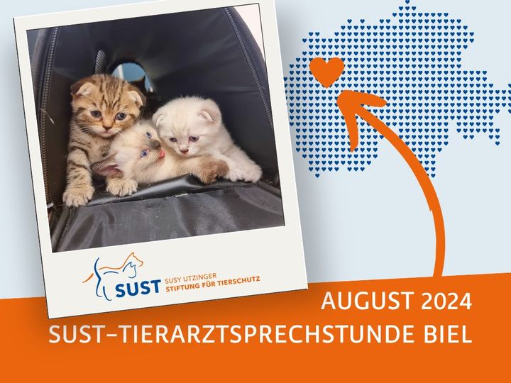 12 animals were treated at the veterinary consultation in Biel.