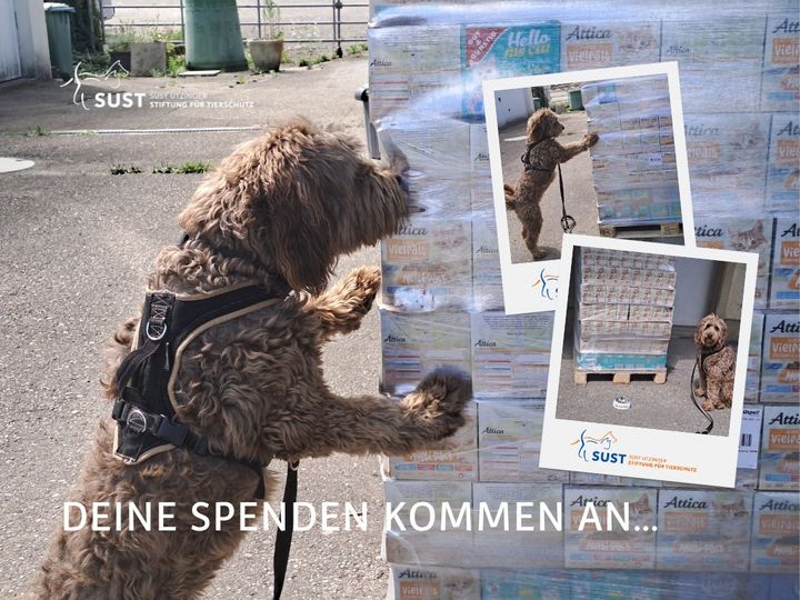 Tierischer Dank! Ihre Spenden kommen an!