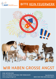 Plakat "Kein Feuerwerk" 