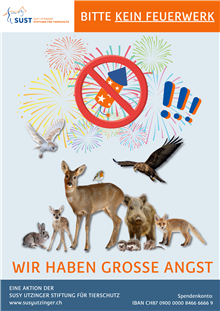 Plakat "Kein Feuerwerk" 