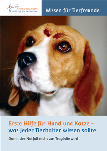 Erste Hilfe für Hund und Katze 