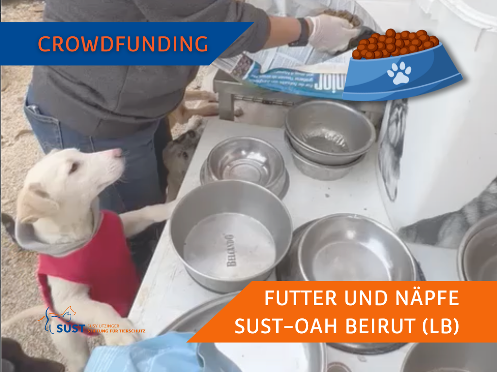 Crowdfunding "Futter für Libanon"