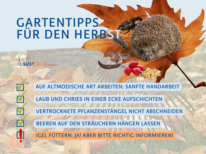 Gartenfreund*innen aufgepasst!