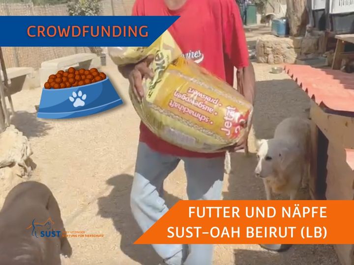 Crowdfunding for the SUST-OAH Beirut