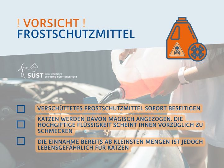 Achtung, AutofahrerInnen!