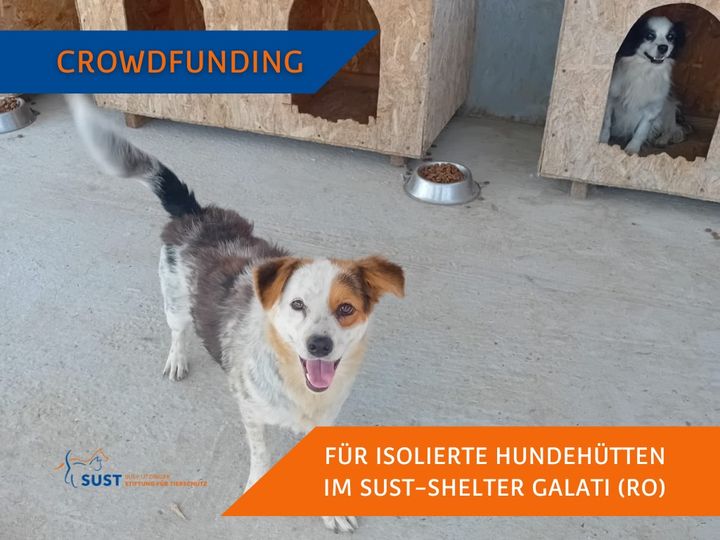 Das Crowdfunding für 10 neue Hundehütten ist gestartet!