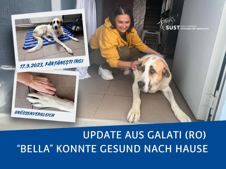 Update of Bella from Galati (RO)