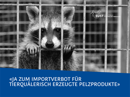 Stellungnahme der SUST zum indirekten Gegenvorschlag zur Volksinitiative «Ja zum Importverbot für tierquälerisch erzeugte Pelzprodukte.»