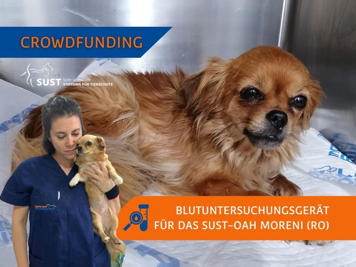 Crowdfunding: Blutuntersuchungsgerät...