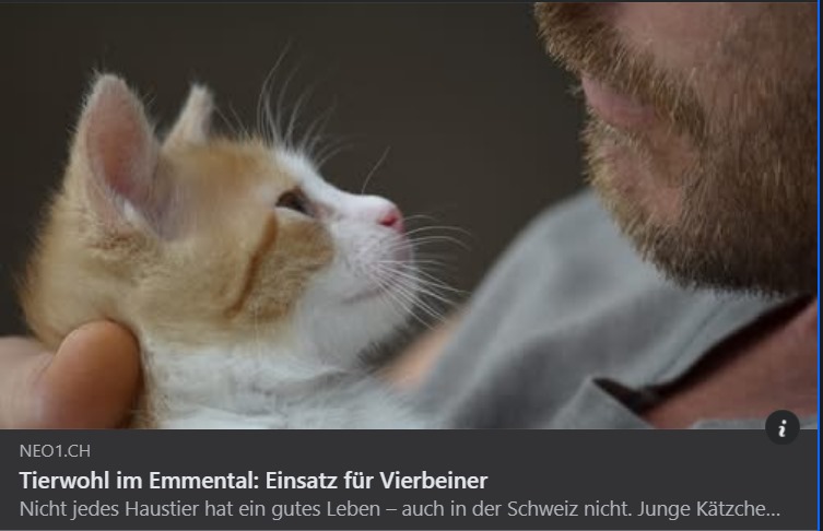 Schweizer Katzenjammer!