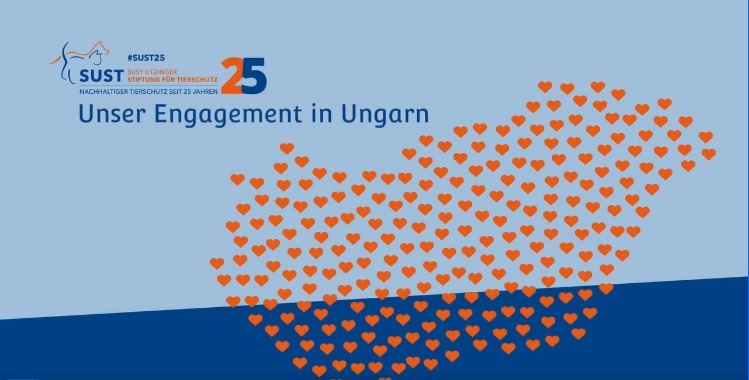 Unser Engagement in Ungarn