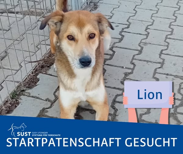 Cornelia S. hat Lions Startpatenschaft übernommen