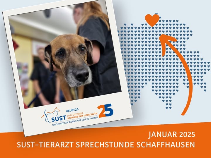 21 Tiere und ein spannender Einblick ins Projekt!