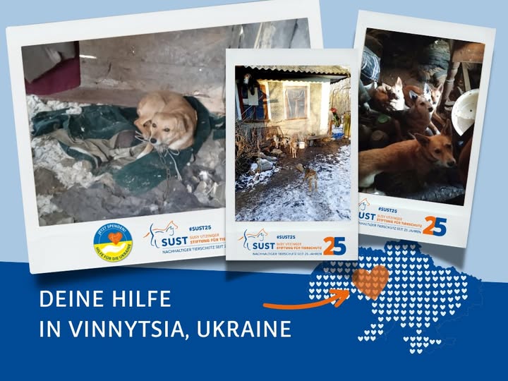 21 Ukrainian Animal Lives Saved!