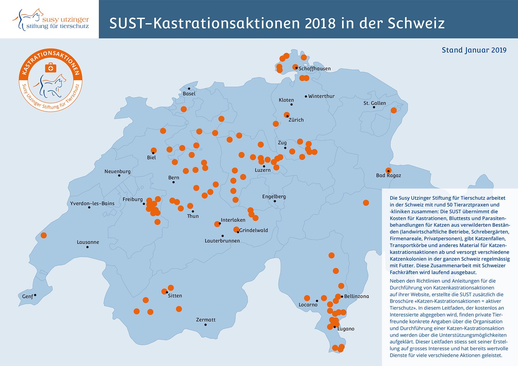 Verwilderte Katzen kastrieren – keine unerwünschten Jungtiere mehr töten