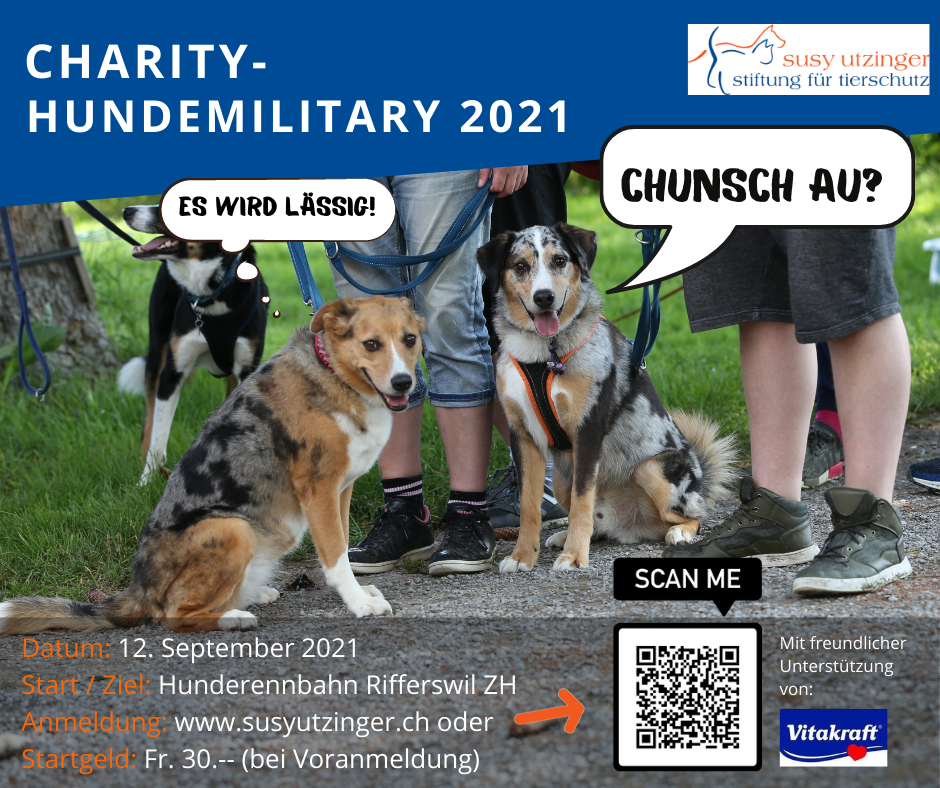 Charity Dog Military 2021