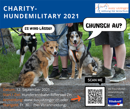 Charity-Hundemilitary 2021