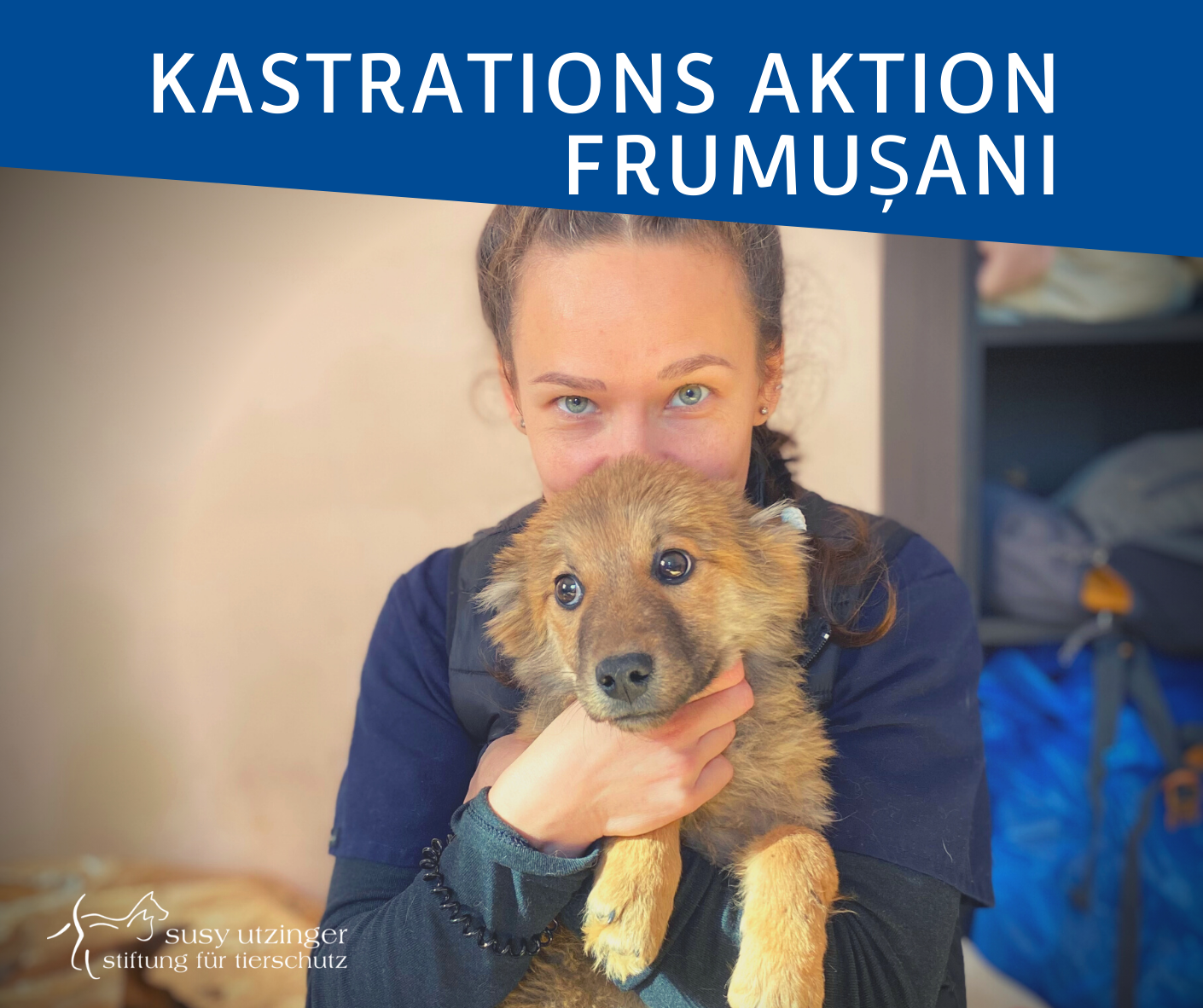 ++ Campaign report from our S/N Campaign in Frumușani, Romania ++