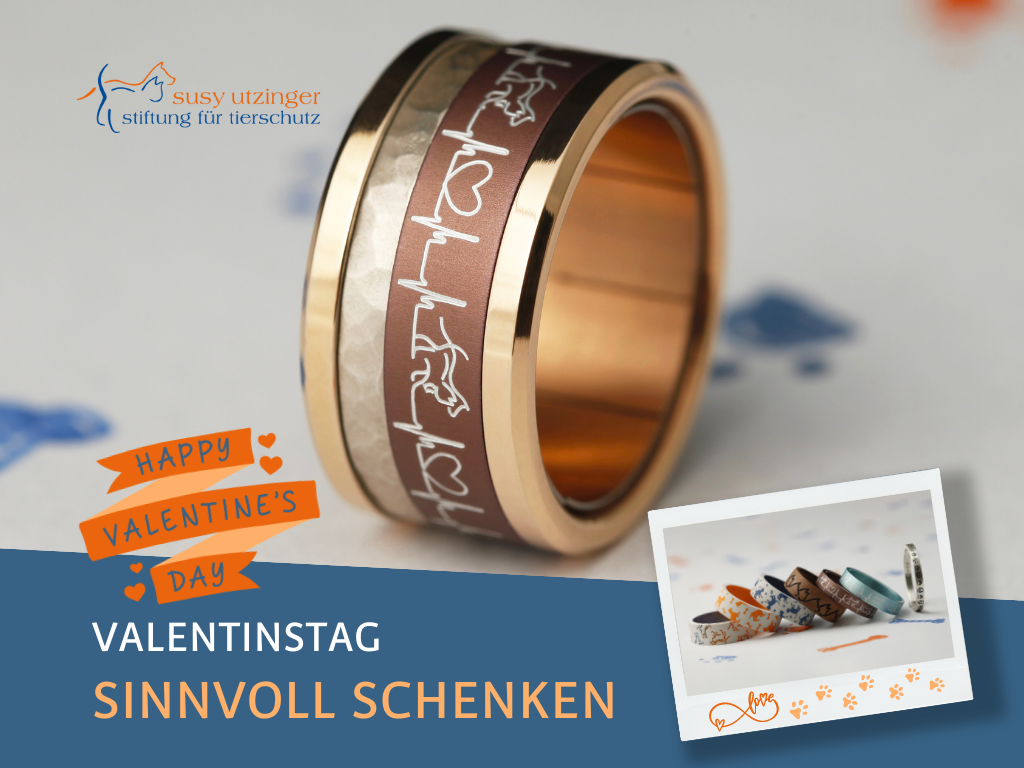 Geschenk zum Valentinstag...