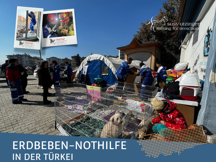 Erdbeben-Nothilfe Türkei