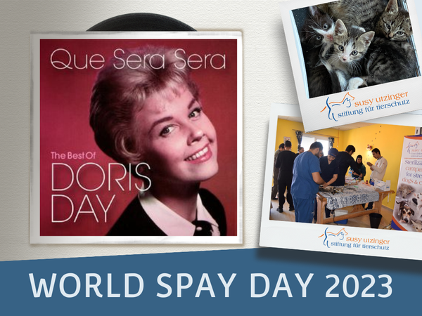 DORIS DAY A CRÉÉ LA JOURNÉE MONDIALE DE LA CASTRATION EN 1995