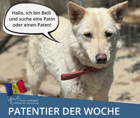 Patentier der Woche