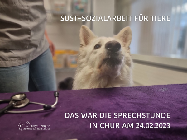 SUST Social work for animals, consultation hours in Chur...