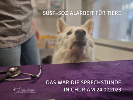 SUST Sozialarbeit für Tiere, Sprechstunde in Chur...