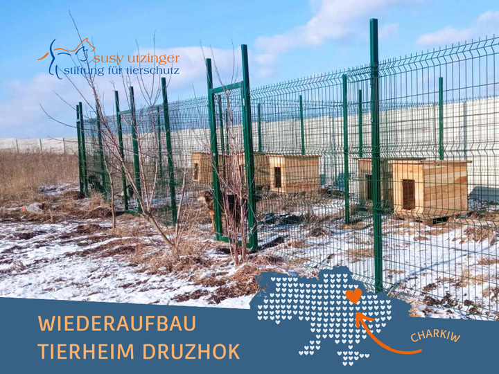 Update aus dem Tierheim Druzhok bei Charkiw, Ukraine