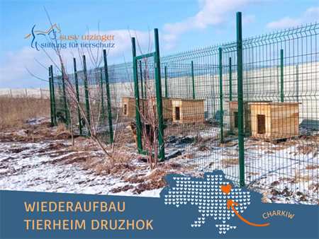 Update from the shelter Druzhok near Kharkiv, Ukraine