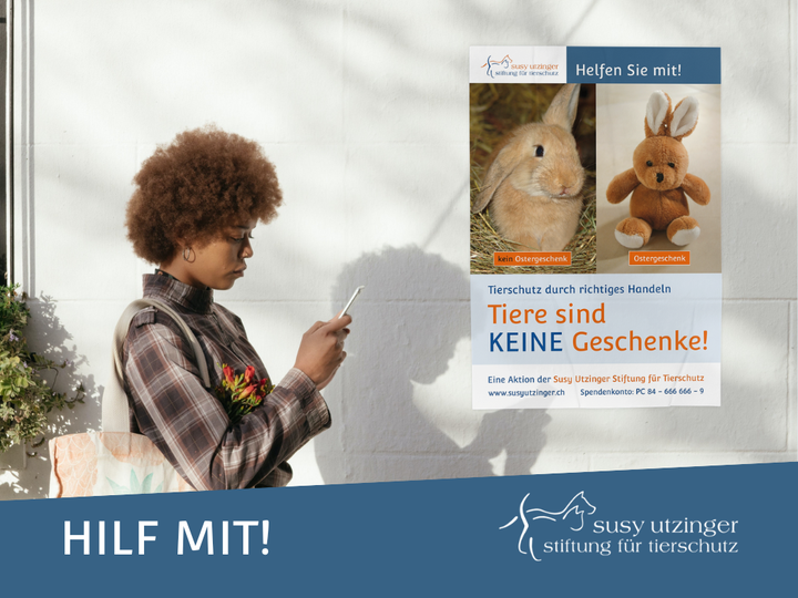 Lebende Tiere sind keine Geschenke!