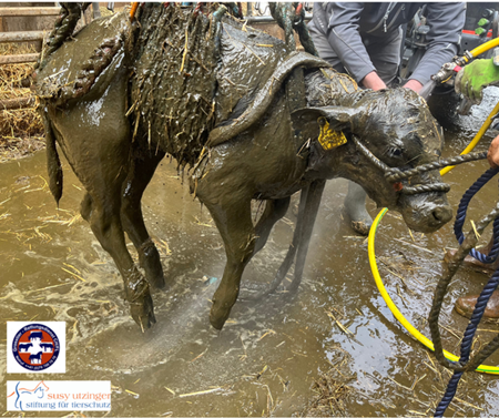 SERVICE DE SAUVETAGE DES GRANDS ANIMAUX (GTRD)