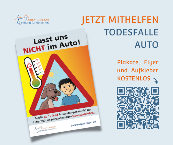 Lasst uns nicht im Auto!