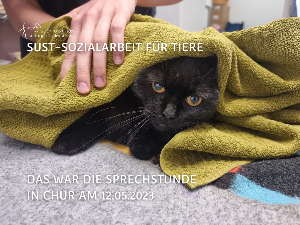 Social work for animals in Switzerland