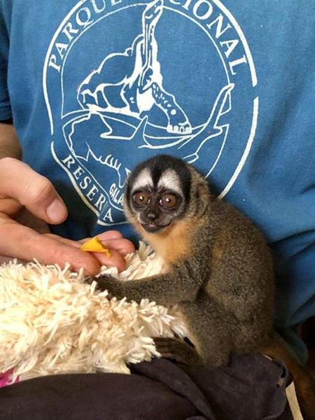 New patient at SUST-OAH Bello Horizonte, Peru