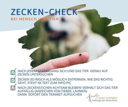 ZECKEN-CHECK!