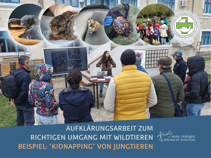 Kidnappen Sie bitte keine Jungtiere!