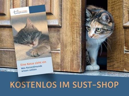 Katzenkinder werden "flügge"