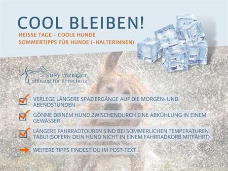 Sommeranfang!