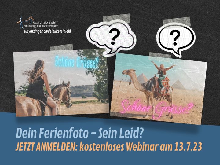 Free webinar on July 13, 2023 with Kathrin Strehle....